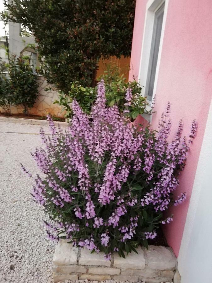 Apartmani Poljanec Вир Екстериор снимка