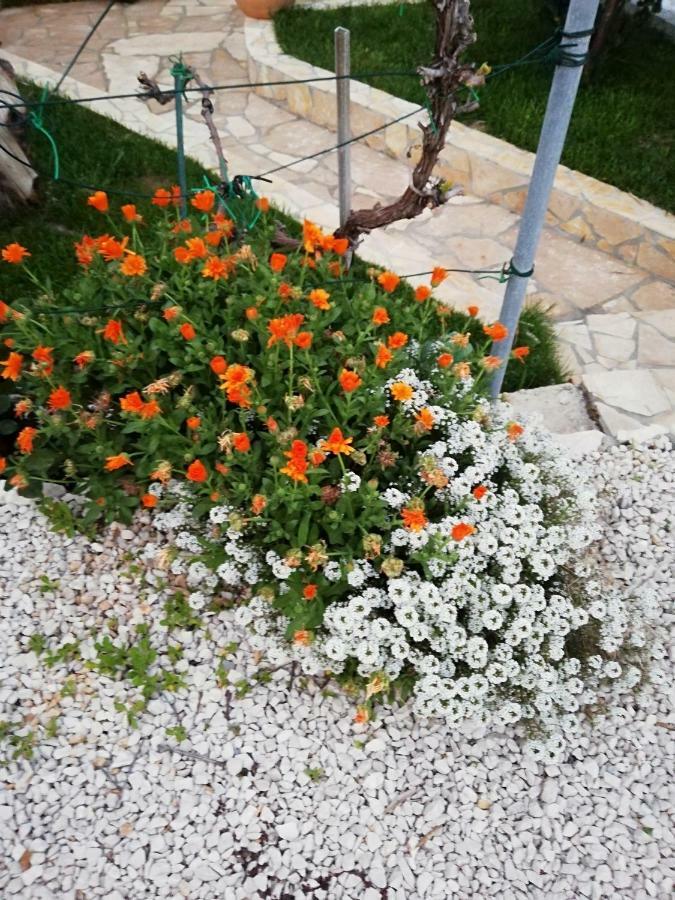 Apartmani Poljanec Вир Екстериор снимка